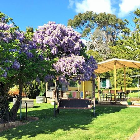 Appartamento Amble'A'While On Tamar Rosevears Esterno foto