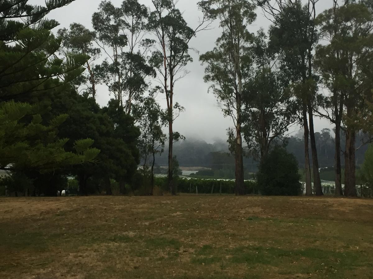 Appartamento Amble'A'While On Tamar Rosevears Esterno foto